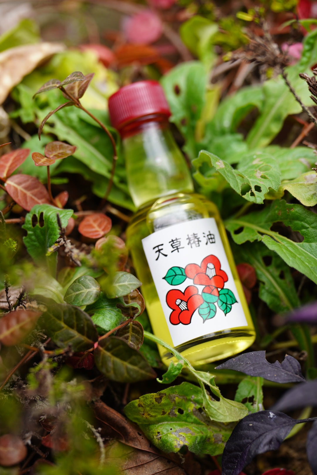 100% Japanese Tsubaki Oil